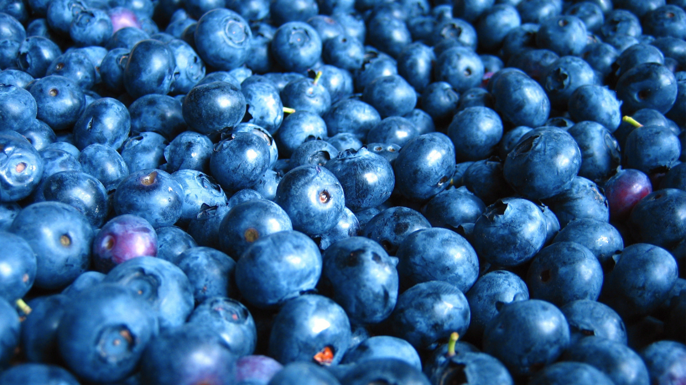 еда, черника, фрукты ягоды, food, blueberries