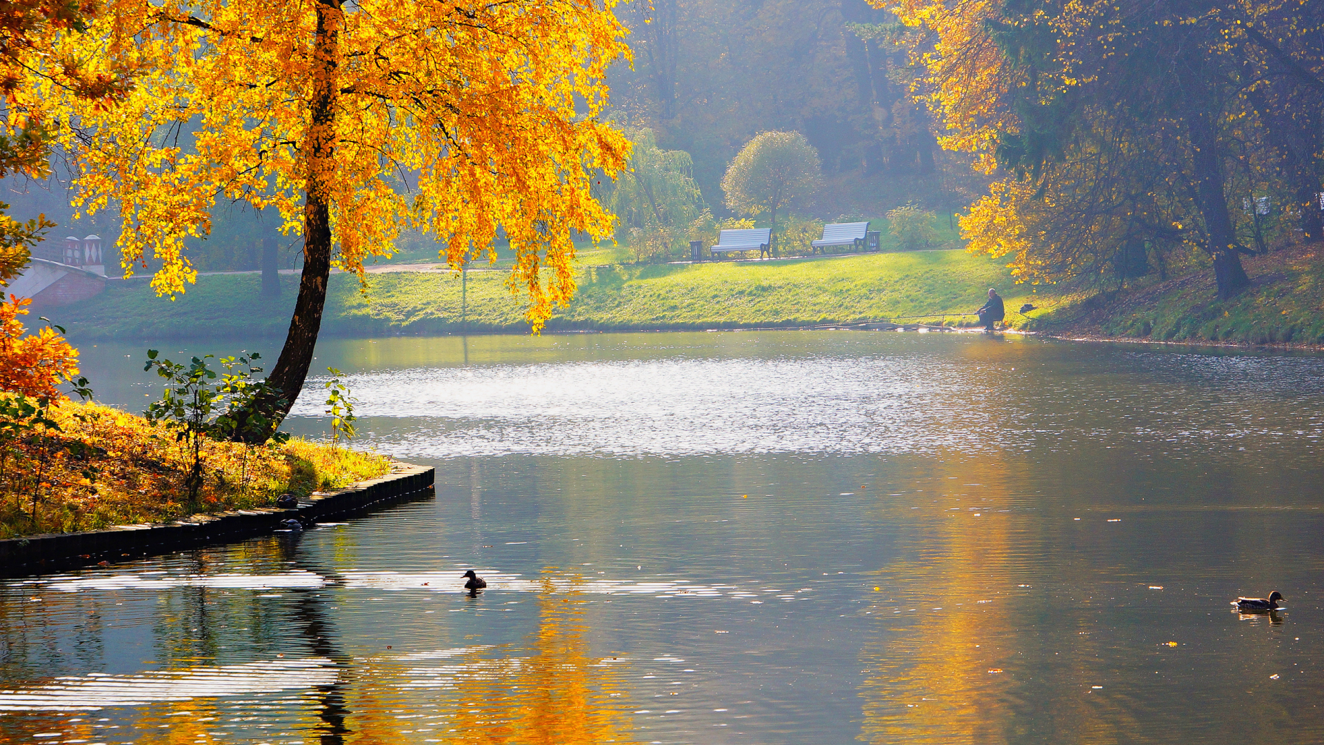 рыбак, река, осень, пруд, природа, парк