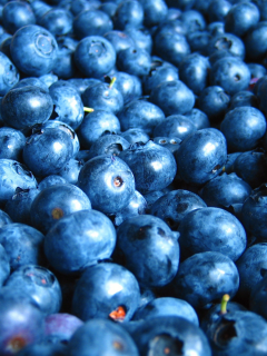 еда, черника, фрукты ягоды, food, blueberries