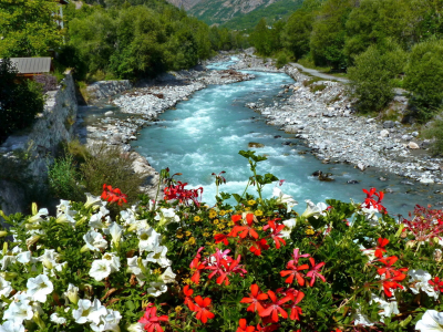 русло, цветы, река