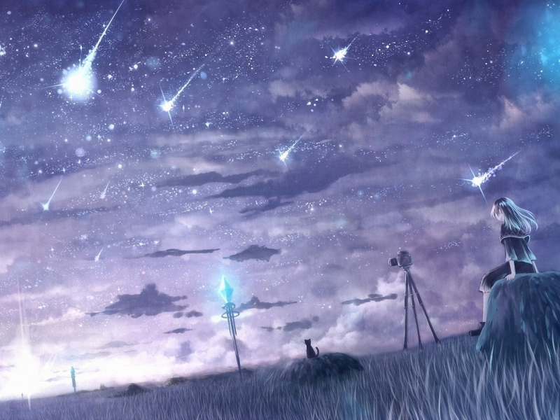 звёзды, кот, поле, фонари, девушка