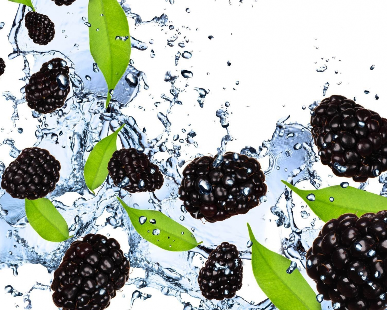 ежевика, ягоды, брызги, вода, blackberry