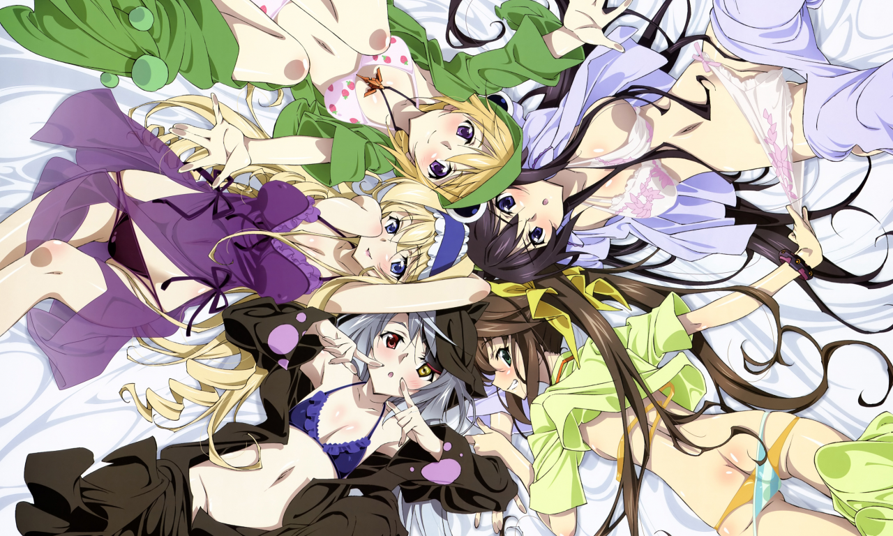 девушки рисованные, аниме, infinitestratos