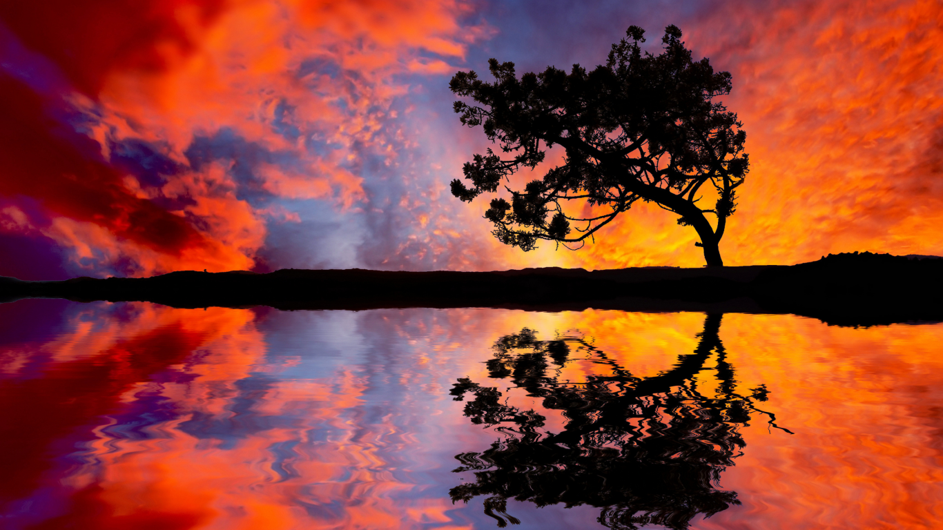 вода, дерево, отражение, горизонт