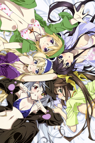 девушки рисованные, аниме, infinitestratos