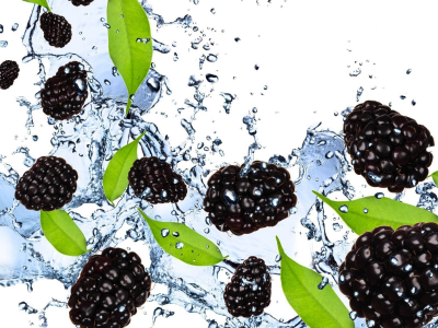 ежевика, ягоды, брызги, вода, blackberry