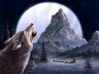 волки, зима, tok hwang, живопись