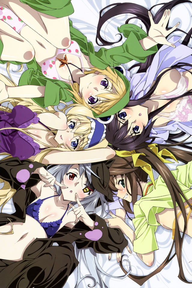 девушки рисованные, аниме, infinitestratos