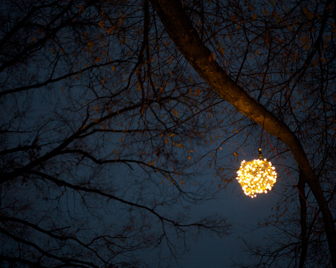 дерево, шар, герлянда, огни, ночь