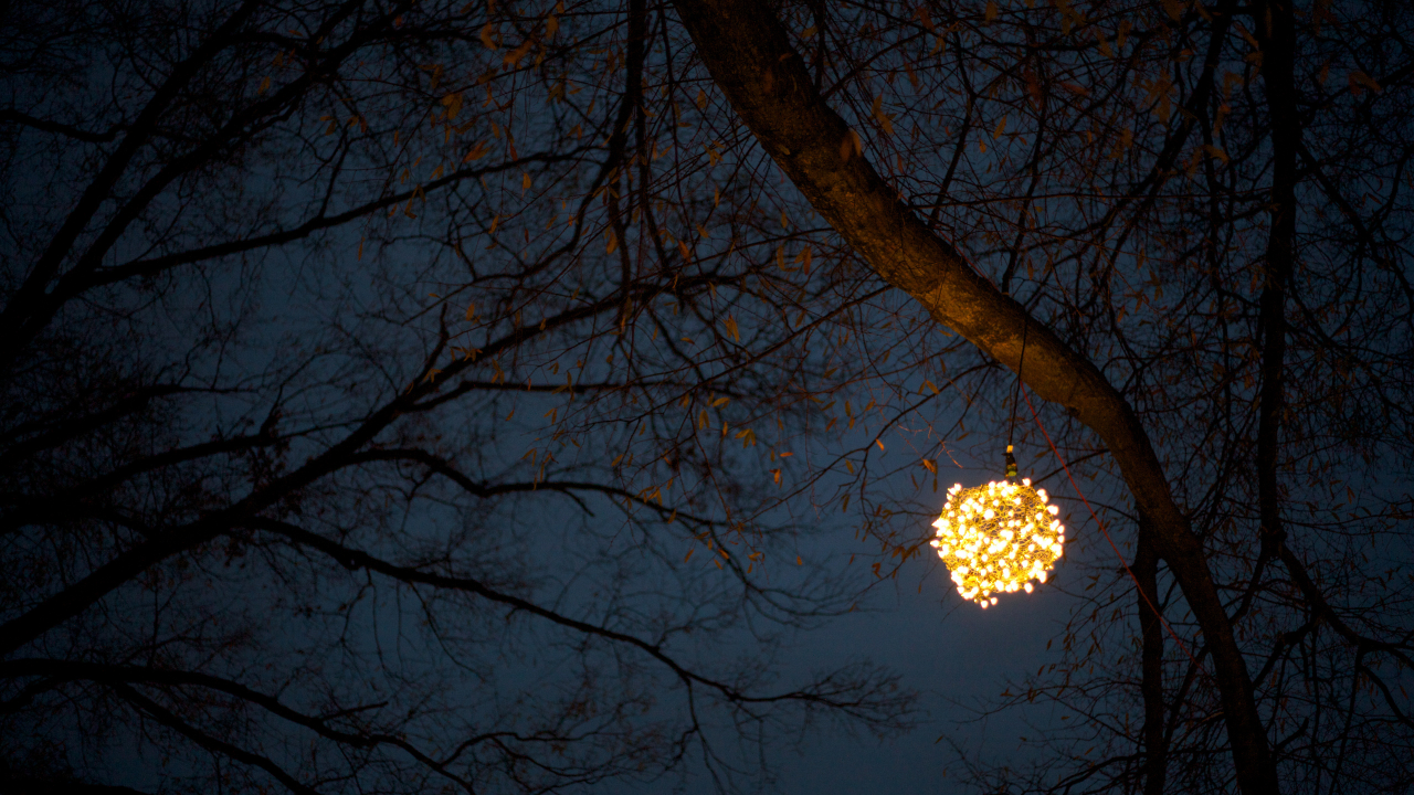 дерево, шар, герлянда, огни, ночь