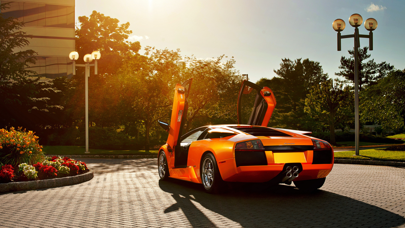 orange, ламборджини, lamborghini, murcielago