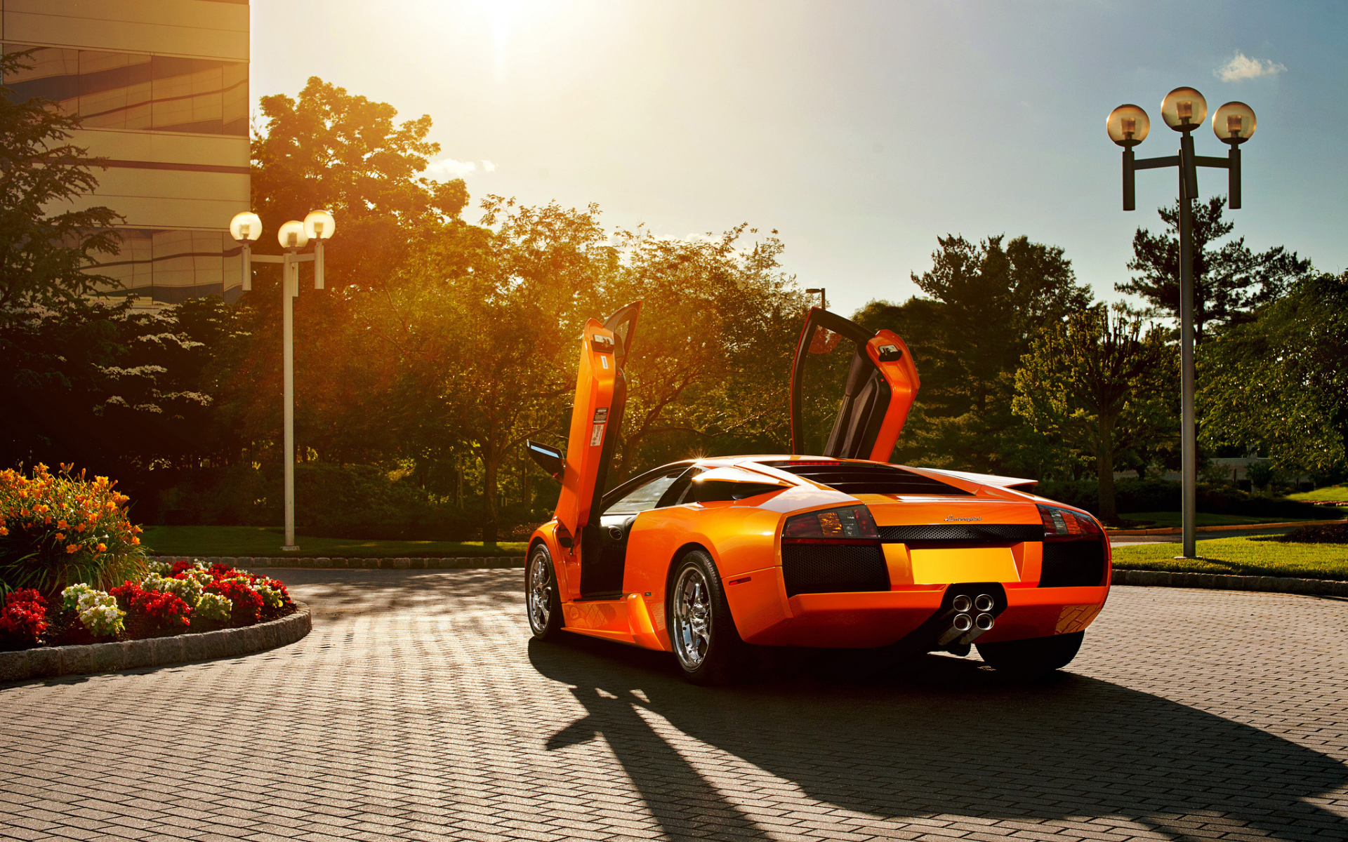 orange, ламборджини, lamborghini, murcielago