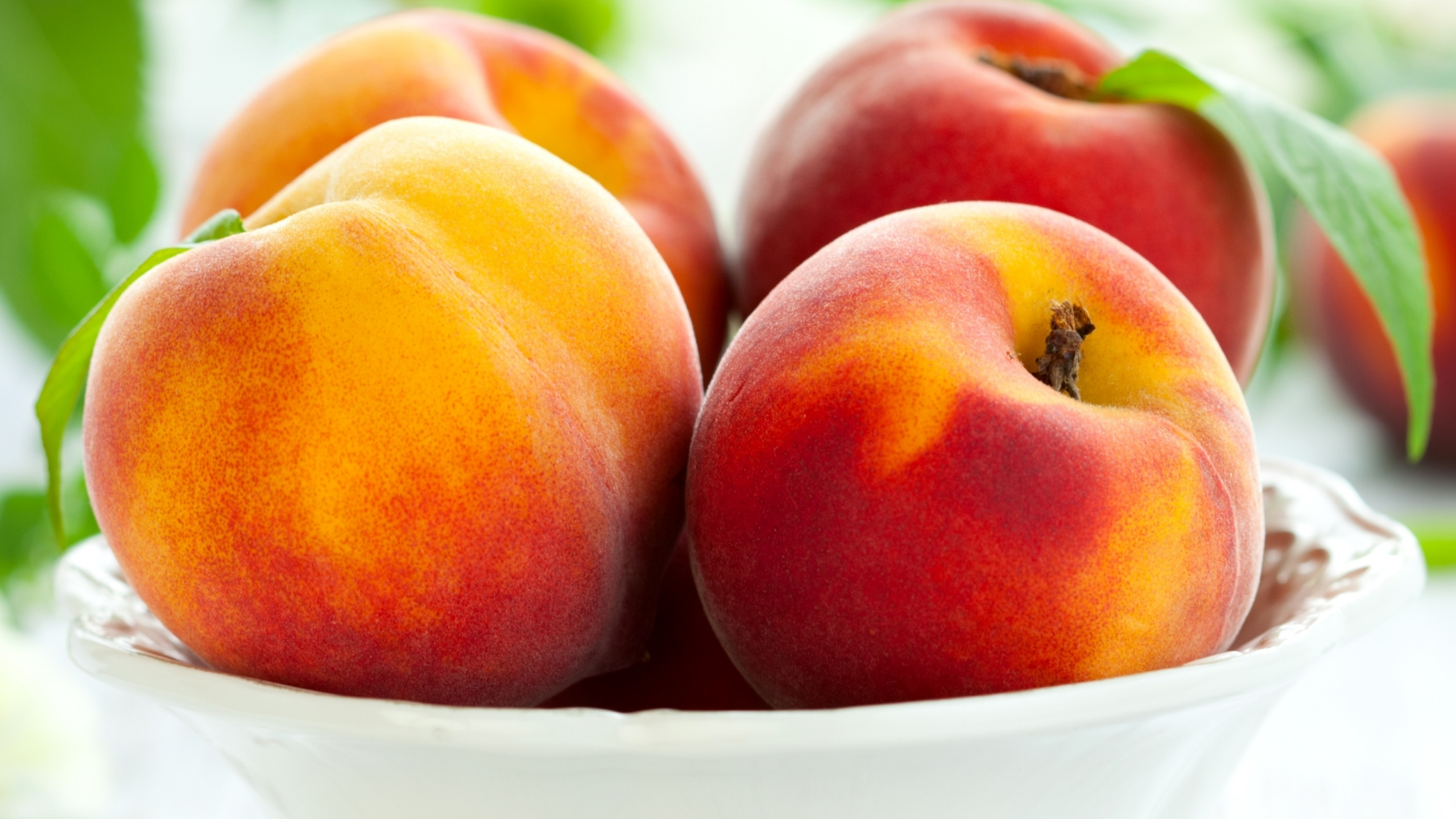 peaches, фрукты, тарелка, персики