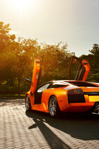 orange, ламборджини, lamborghini, murcielago