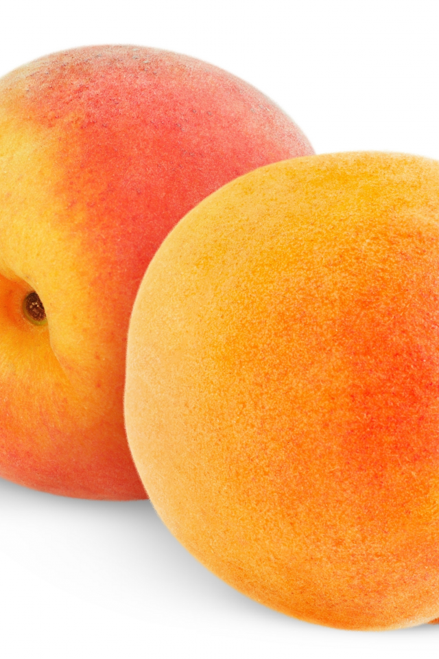 фрукты, fruit, peaches, персики, белый фон