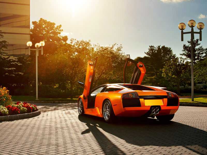 orange, ламборджини, lamborghini, murcielago