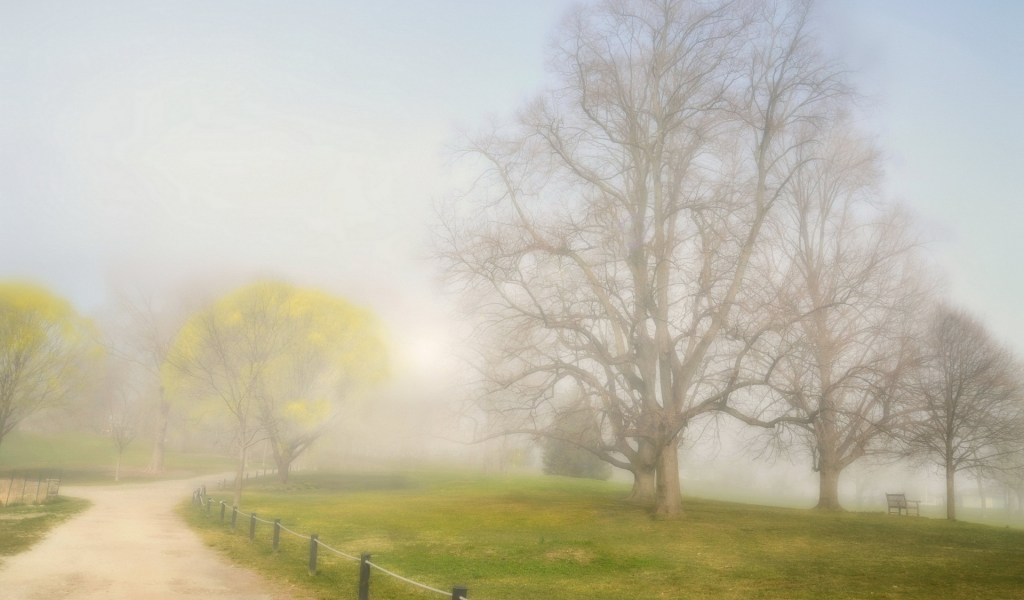 туман, парк, дорога, пейзаж
