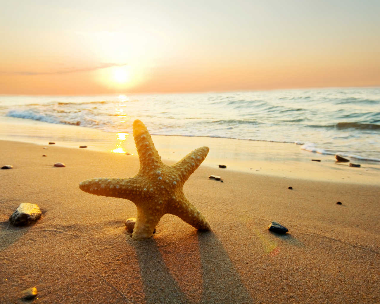 природа, beach, starfish, sunset, ocean, sand, sun, sea