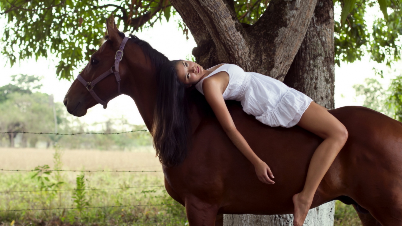 конь, настроение, девушка