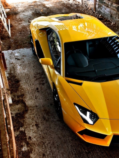 спорт, lamborghini, машины, aventador, кар