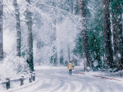 снег, дорога, зима, деревья