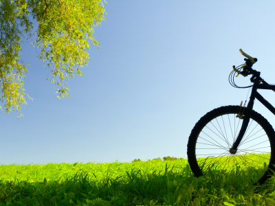 bike, природа, настроение, простор, лето