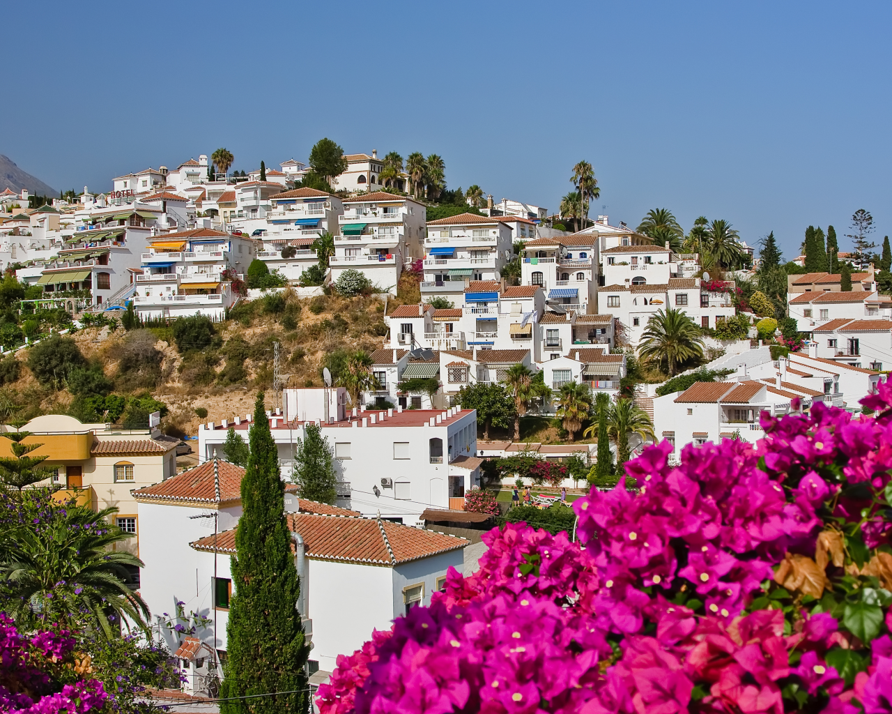 palms, flowers, sky, houses, spain, nerja, tress, spanish landscape