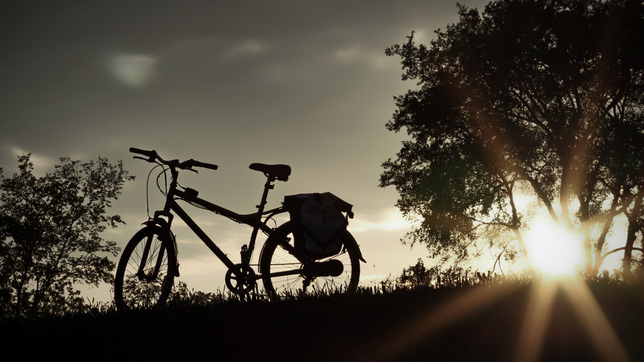вечер, bike, природа, закат