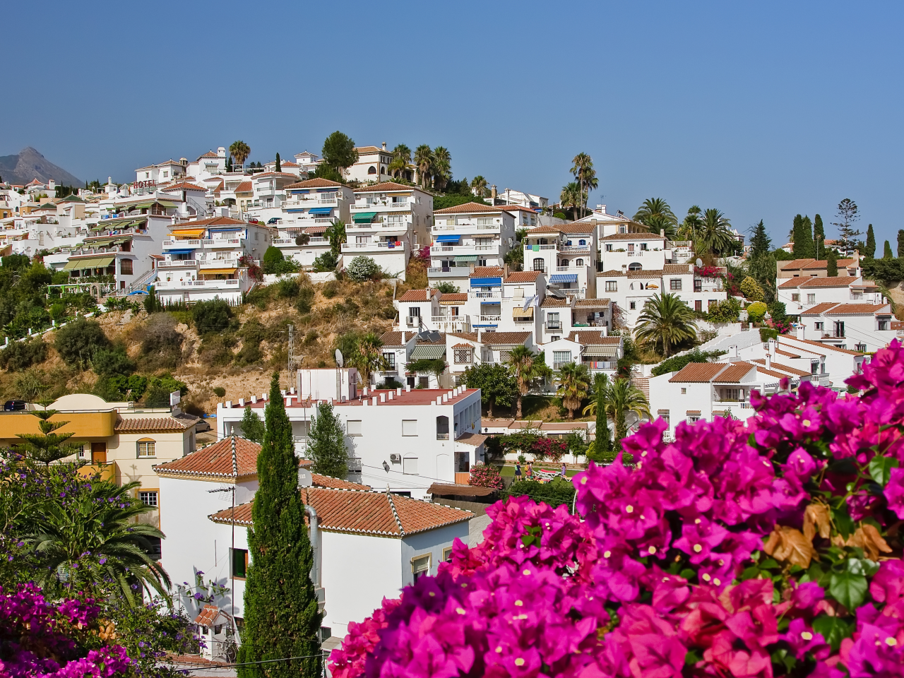 palms, flowers, sky, houses, spain, nerja, tress, spanish landscape