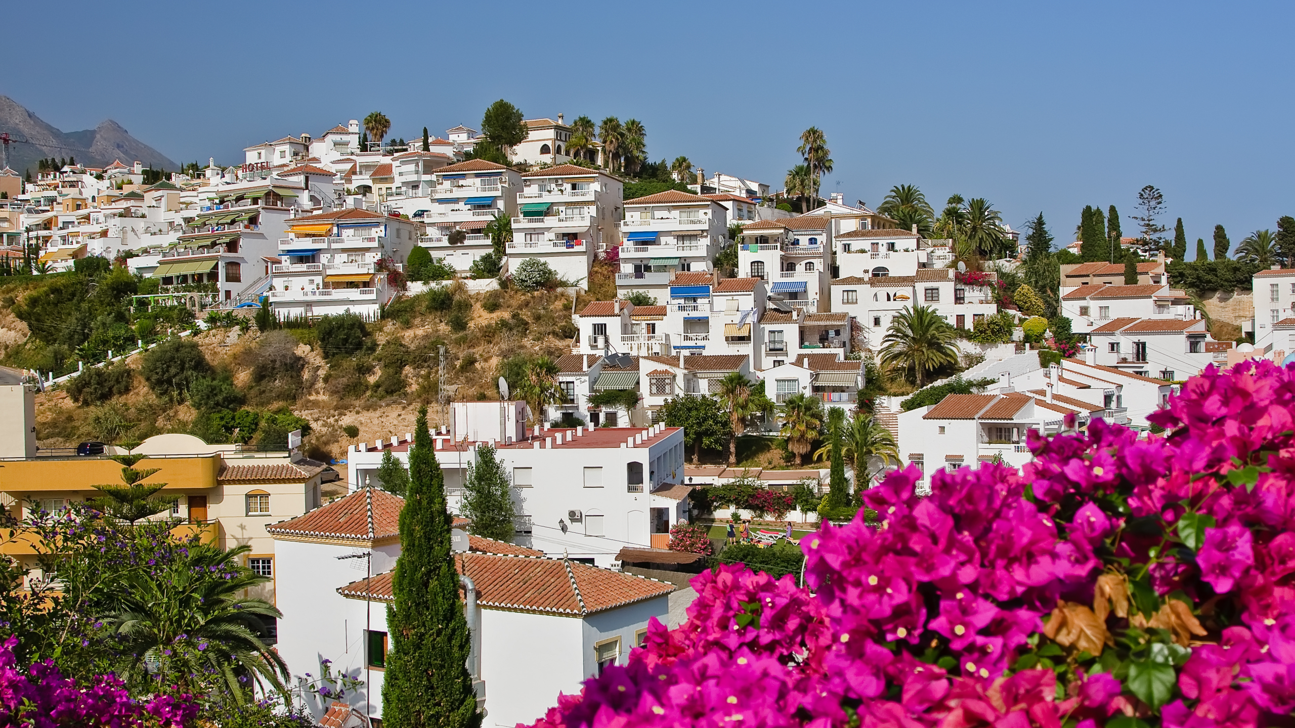 palms, flowers, sky, houses, spain, nerja, tress, spanish landscape