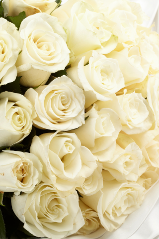 белые, ткань, цветы, букет, розы