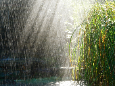 струи, вода, трава, дождь, ливень