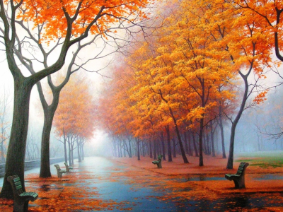 осень, скамейка, дерево