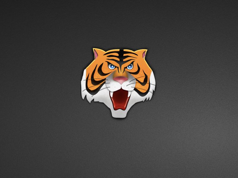 тигр, head, минимализм, голова, tiger