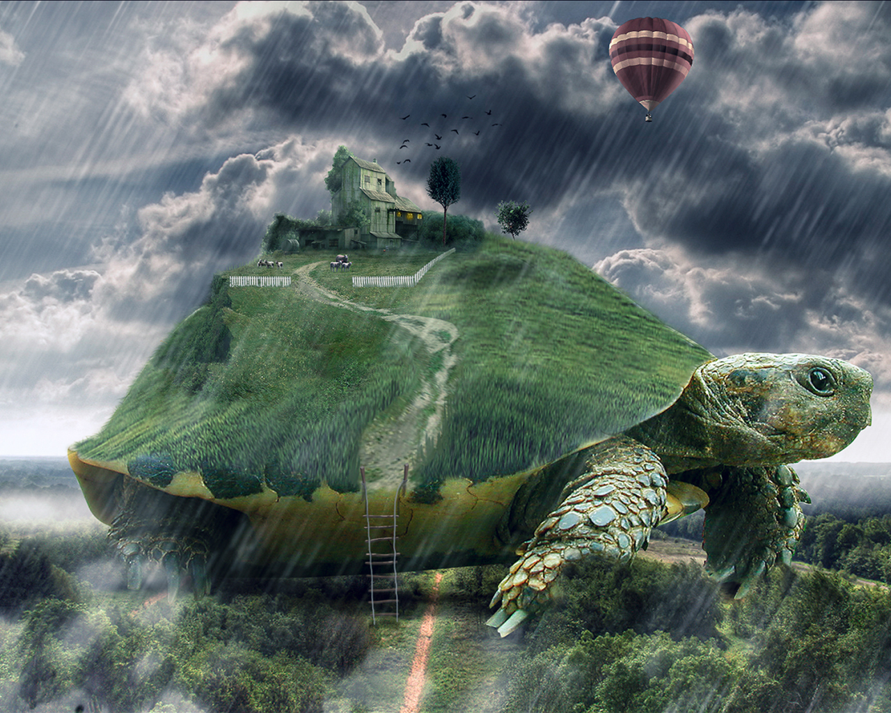 арт, черепаха, гигантская, дождь, дом