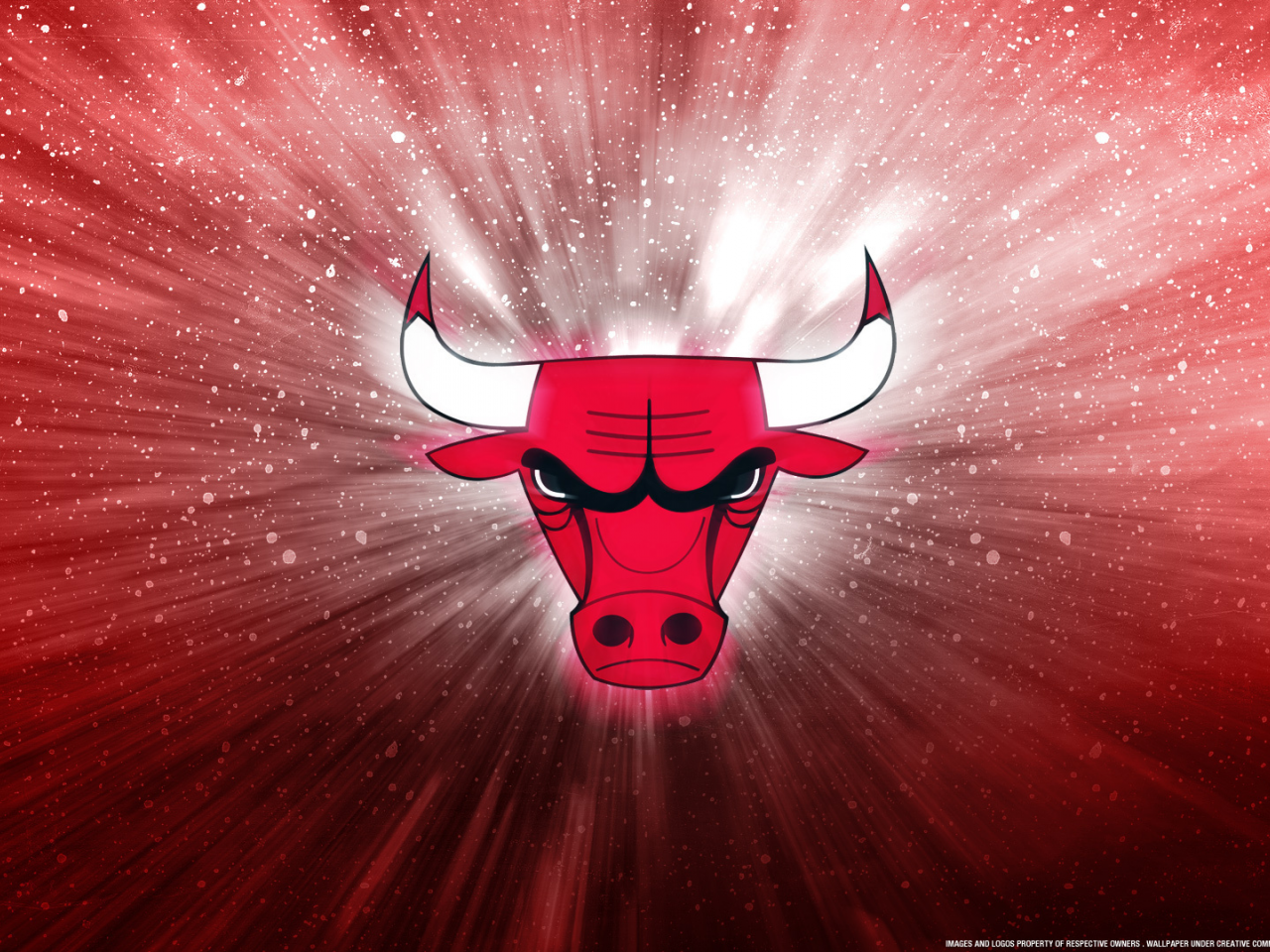 logo, chicago, new, bulls