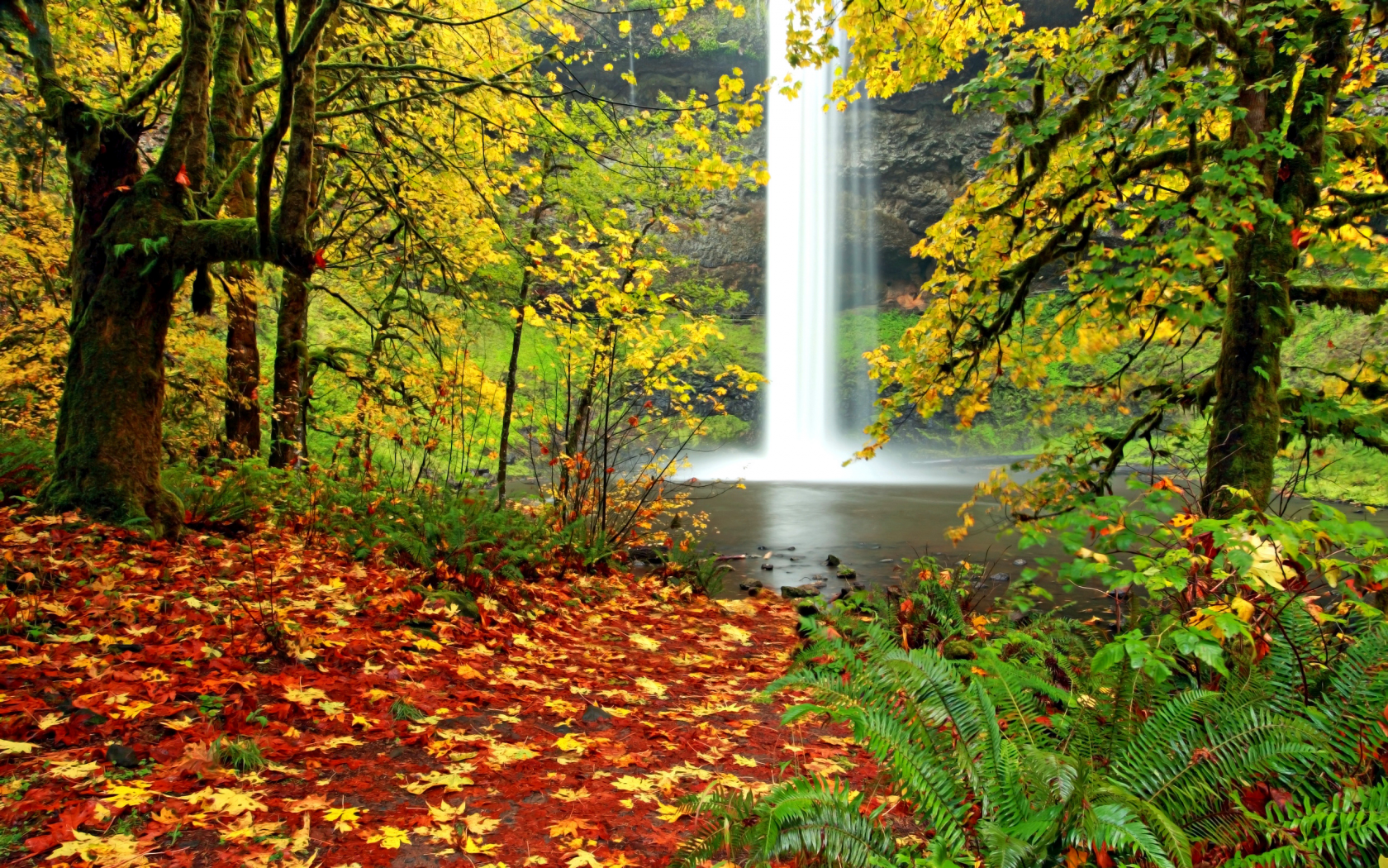 водопад, пейзаж, папоротник, осень