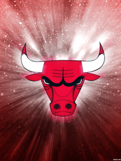 logo, chicago, new, bulls