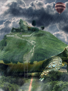 арт, черепаха, гигантская, дождь, дом