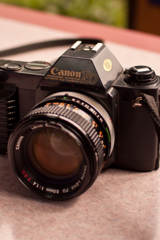 canon, фотоаппарат, т50