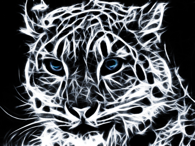 snow leopard, снежный барс, фракталы, ирбис