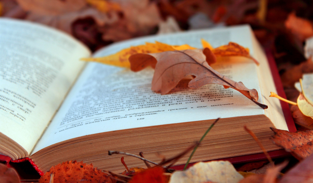 текст, книга, листва, осень, листья