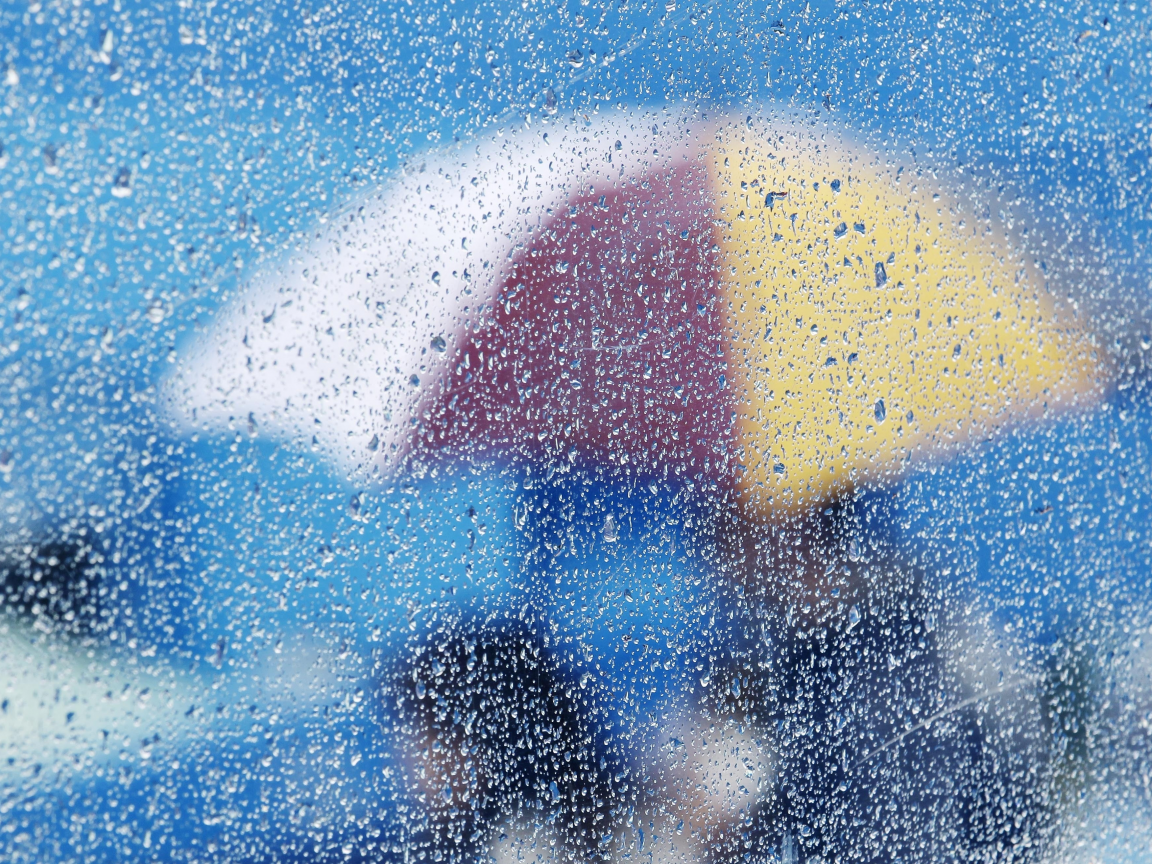 umbrella, glass, rain