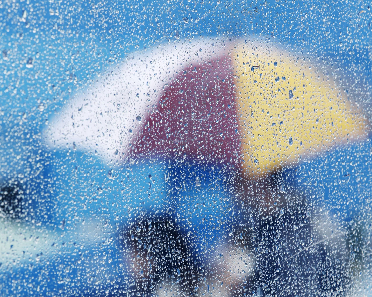 umbrella, glass, rain