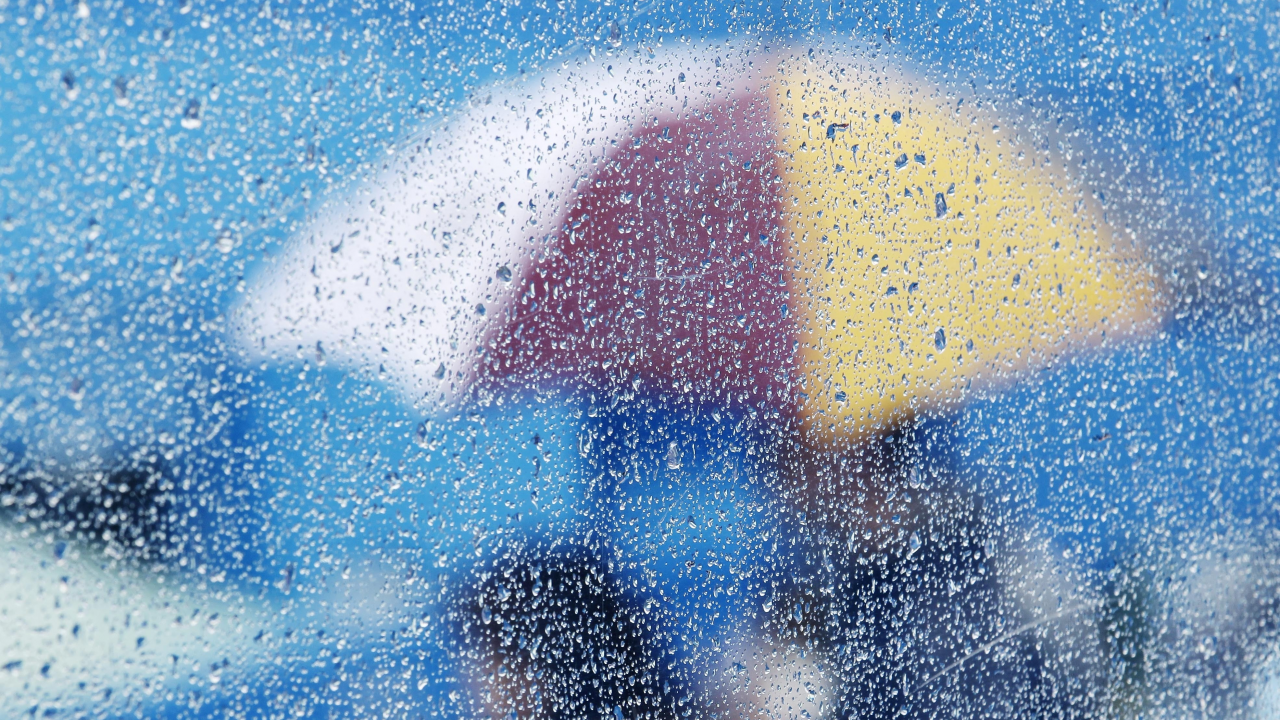 umbrella, glass, rain