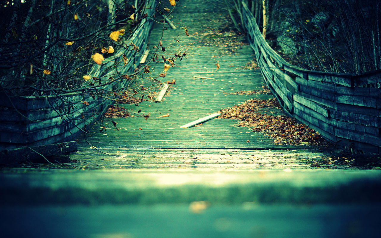 доски, желтые, осень, листья, мост