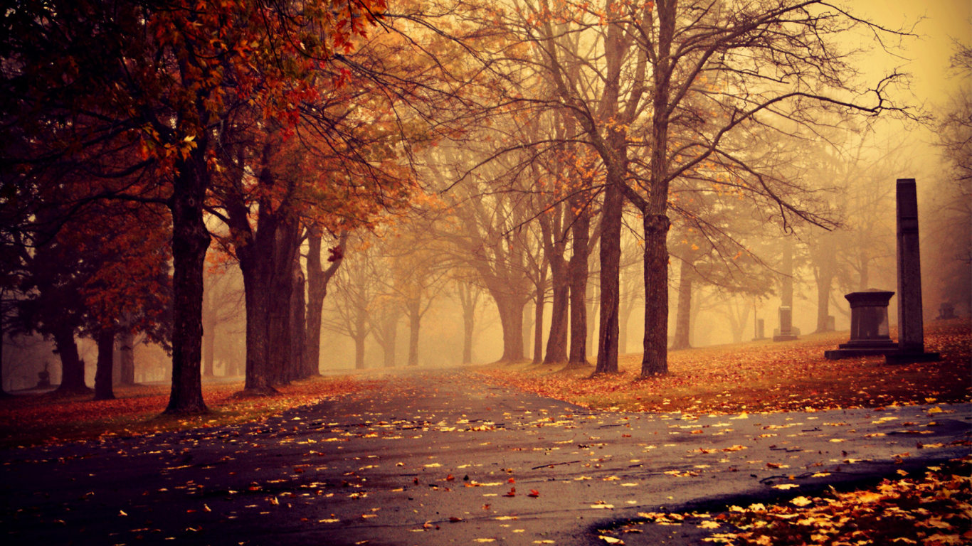 деревья, листья, парк, дорожки, осень