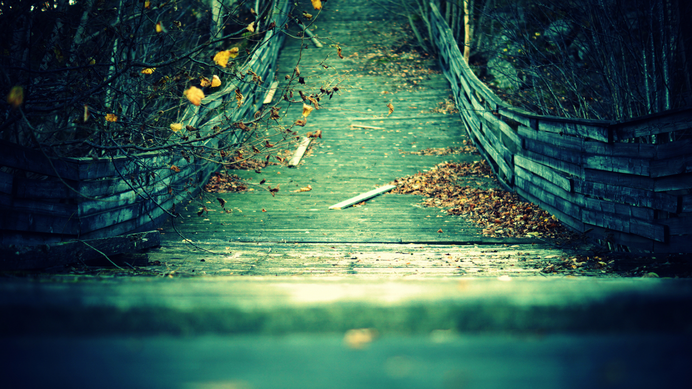доски, желтые, осень, листья, мост
