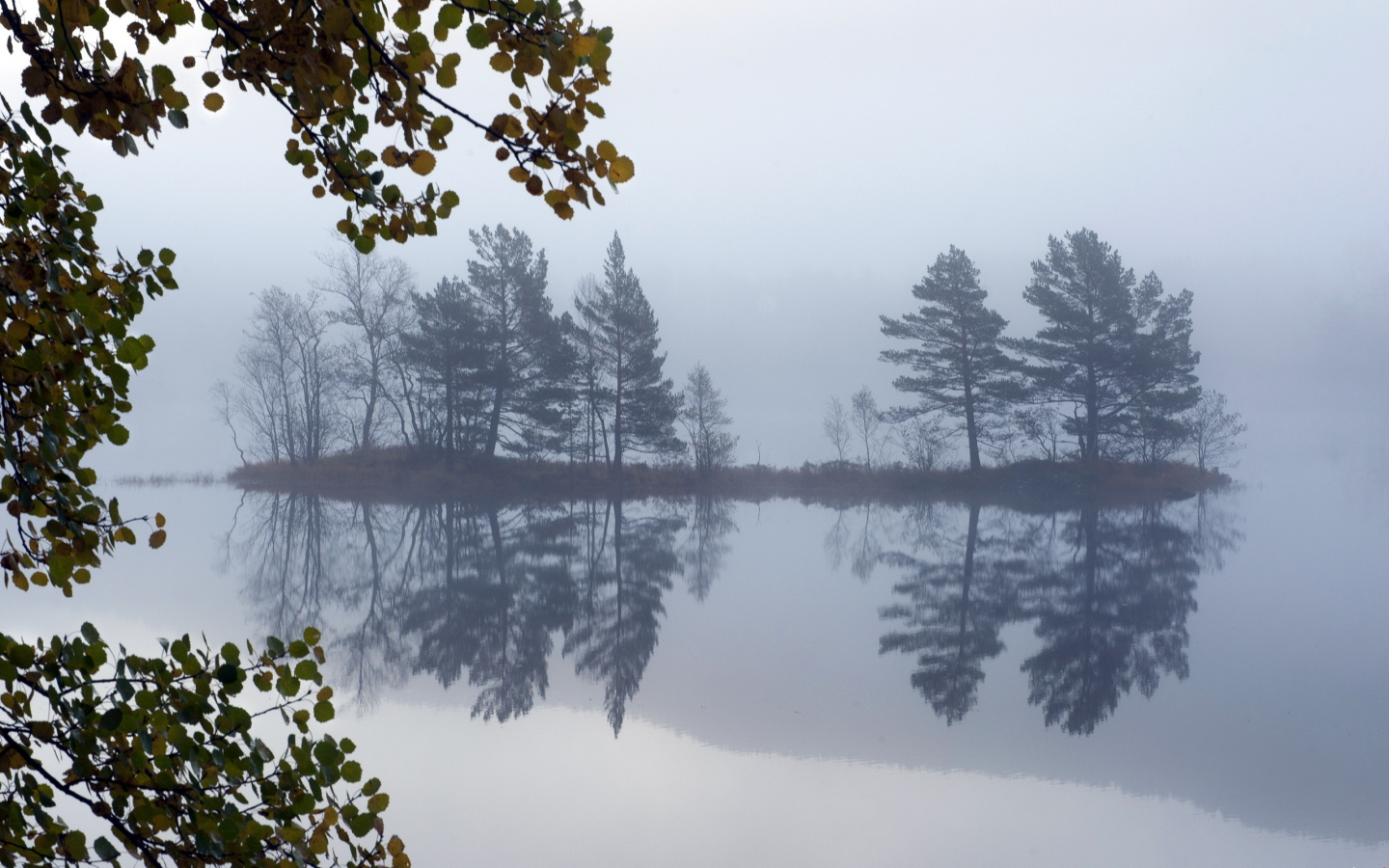 пейзаж, туман, озеро, деревья