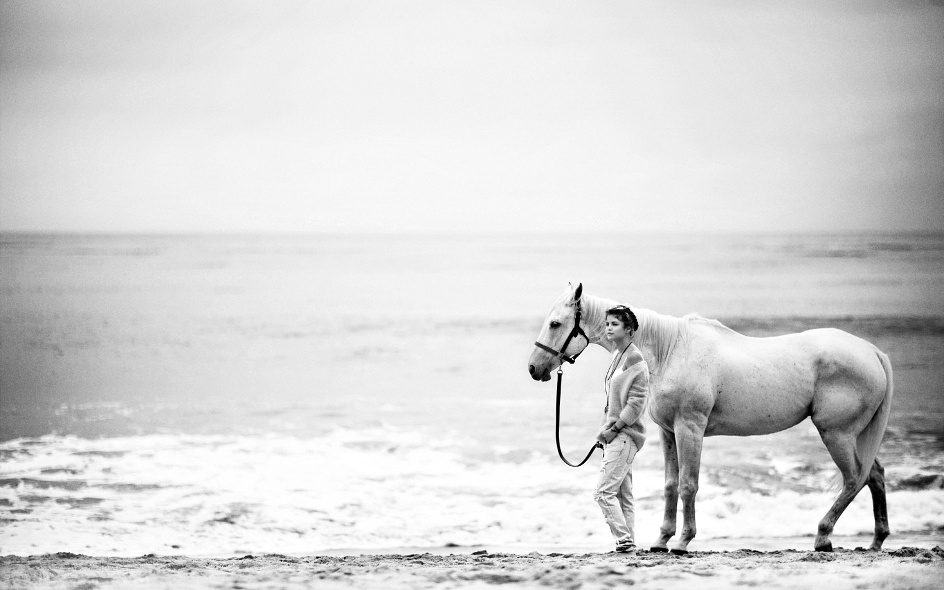 обои, лошадь, пляж, девушка, фото